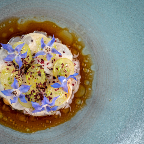 Seabass Crudo, Mara Dulse, and Almond