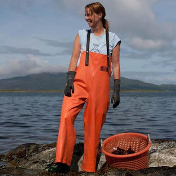 "Scottish Seaweed Set To Be Next Superfood"