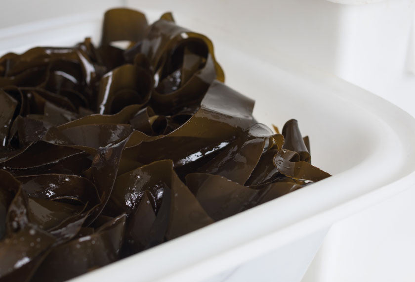 Wet kombu kelp awaiting processing in Mara Seaweed's factory